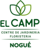 cambium